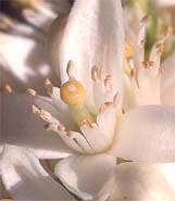 Cuerpo mente y espiritu